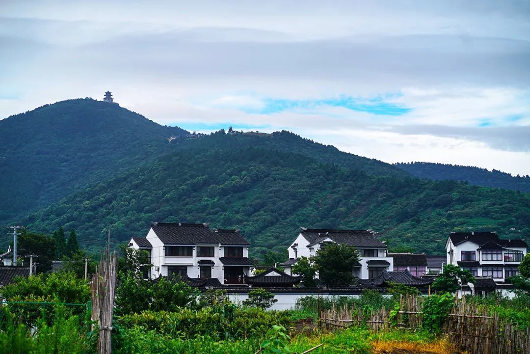 古村古韵丨退出“高温群聊”后，太适合来这里走走了！