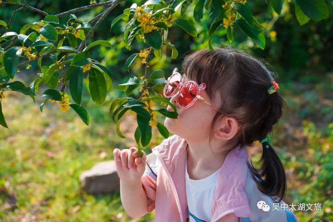 美了，美了！来西山岛赏秋呀！