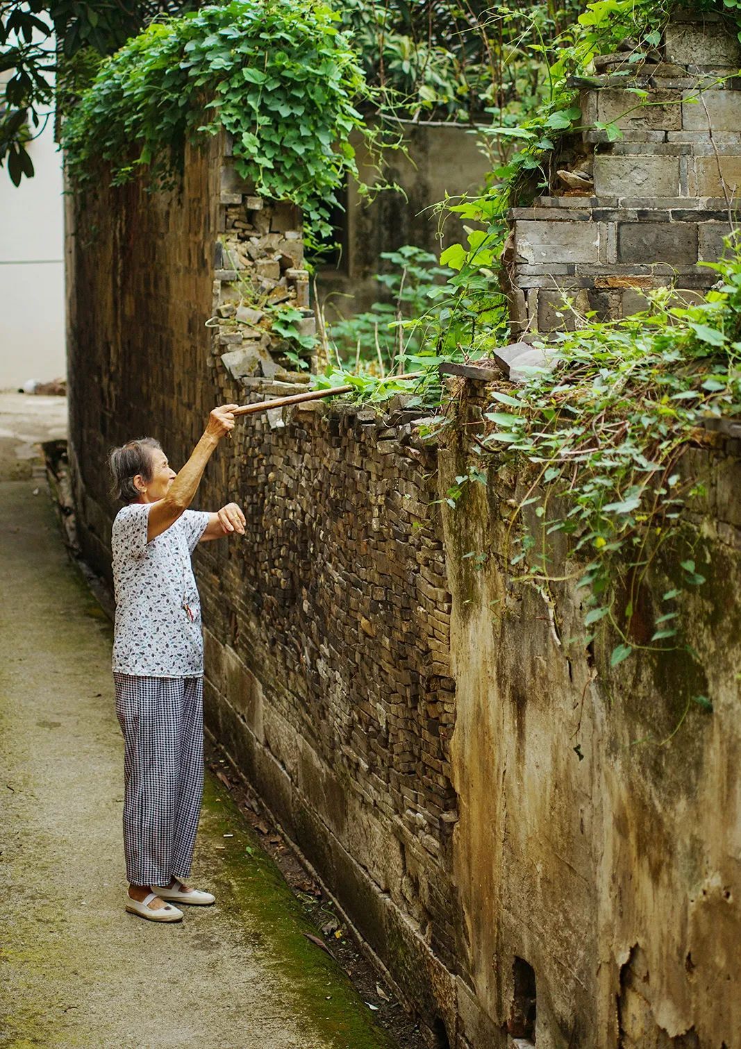 古村古韵丨安逸静谧，这里最不缺风景！