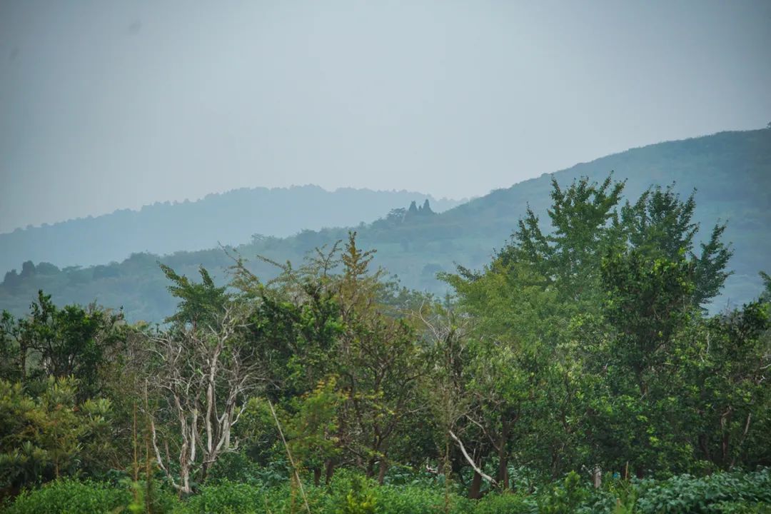 古村古韵丨安逸静谧，这里最不缺风景！