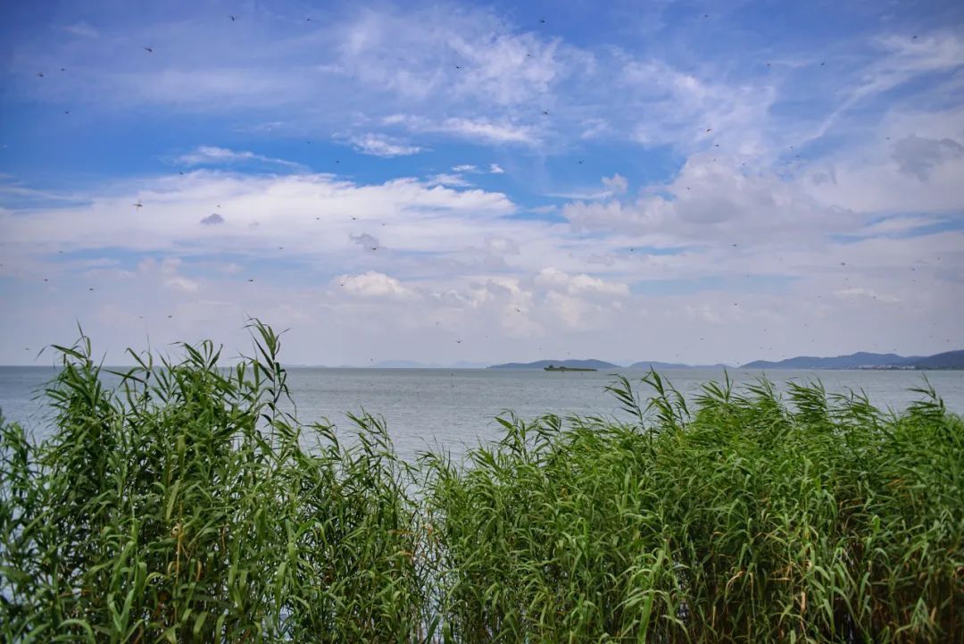 古村古韵丨安逸静谧，这里最不缺风景！