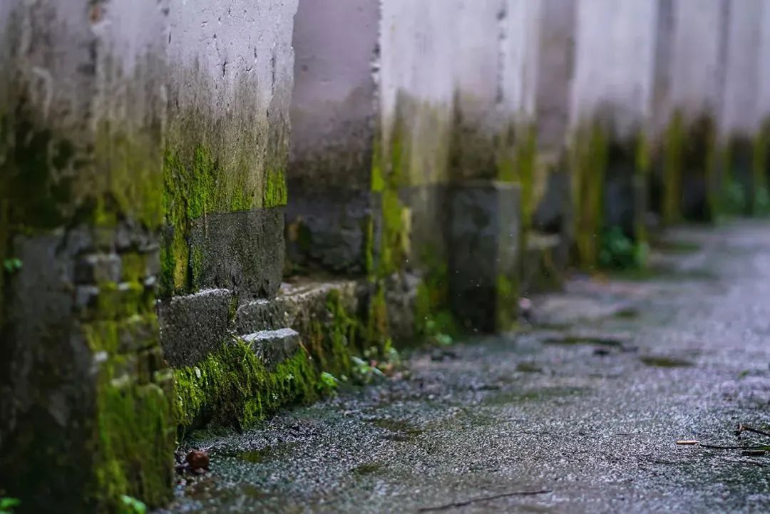 古村古韵丨安逸静谧，这里最不缺风景！