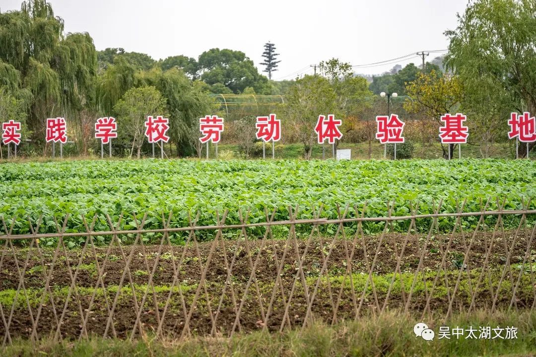 初冬，解锁农场里的N种快乐~