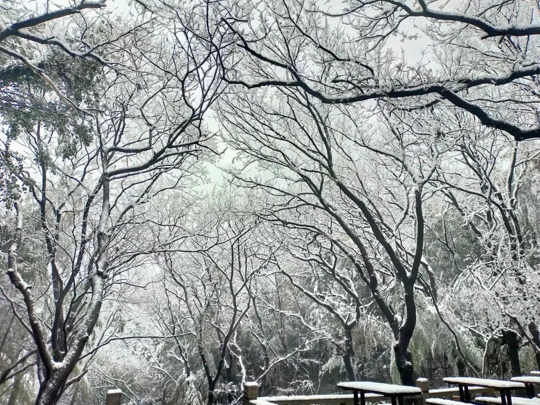 冬日打卡计划：在穹窿山，看一场落雪