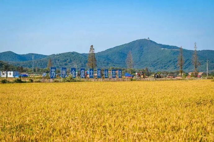 西山新十一景——消夏湾