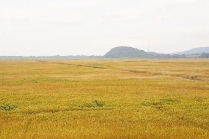 西山新十一景——消夏湾