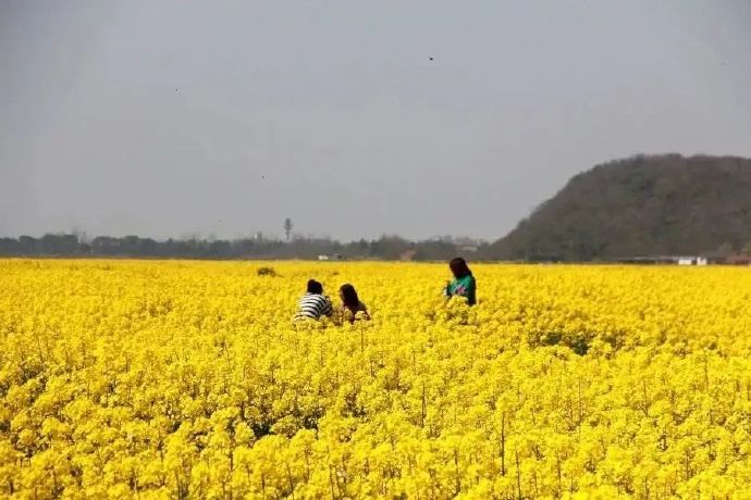 西山新十一景——消夏湾