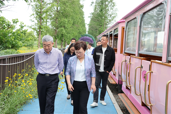 文旅部文化市场综合执法监督局局长吴江波一行来吴中开展文化市场普法宣传和文物保护调研工作