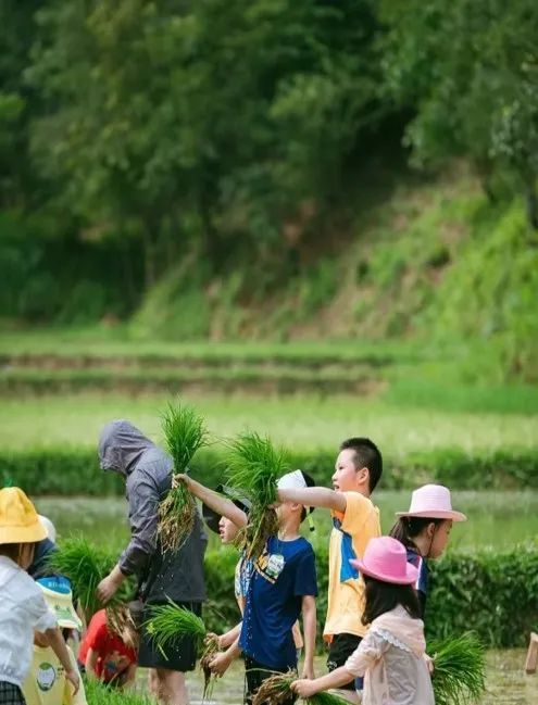 插秧、摸鱼、钓龙虾……这里也太好玩啦!