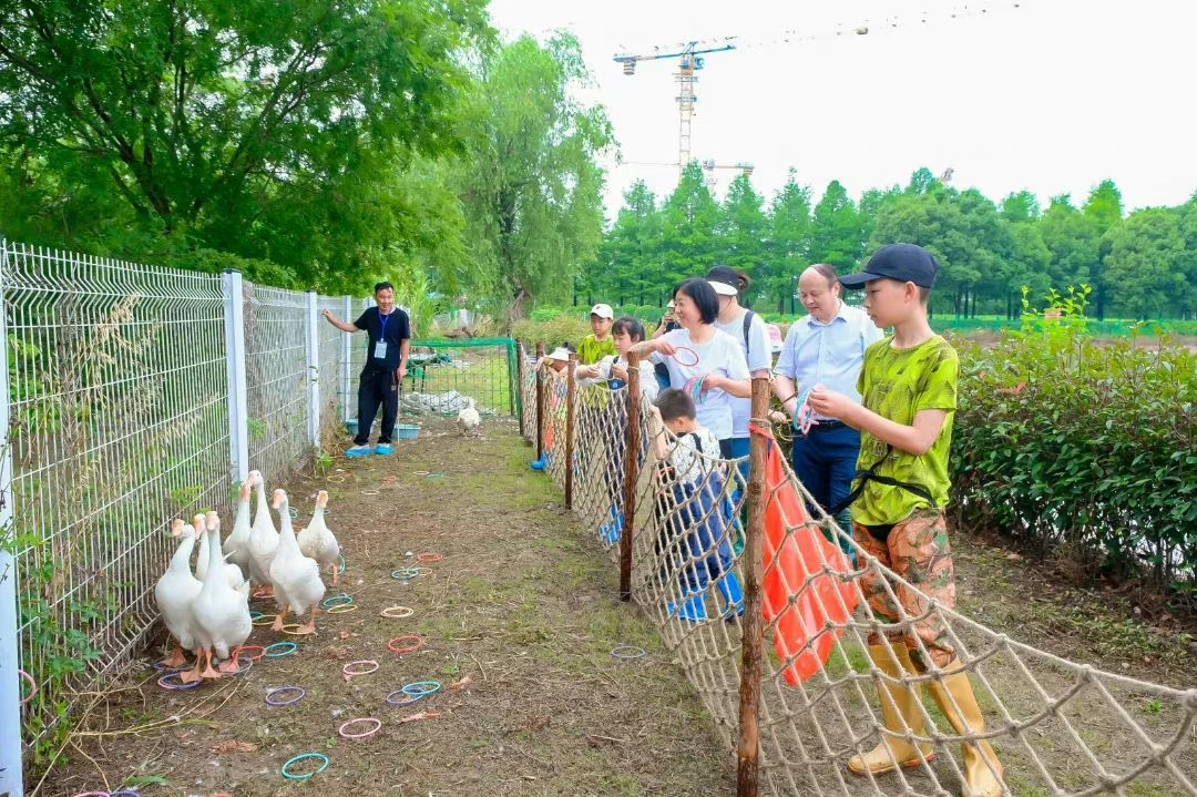 插秧、摸鱼、钓龙虾……这里也太好玩啦!