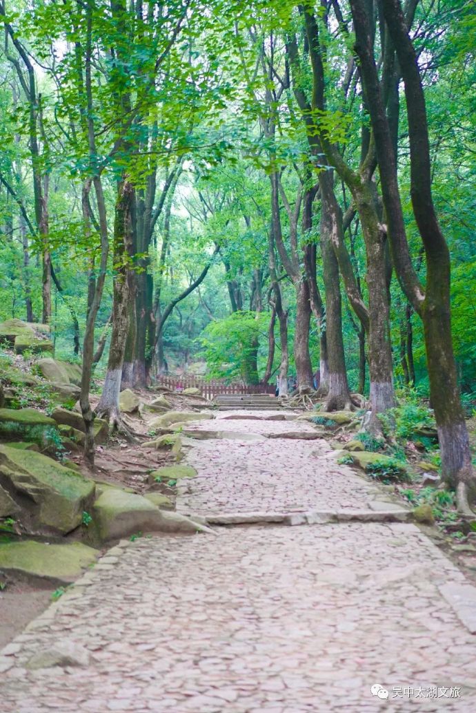 天池花山森林步道