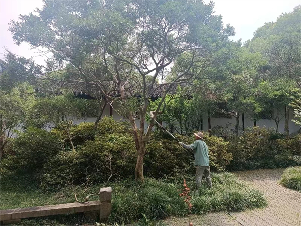 启园景区全力做好绿植养护工作