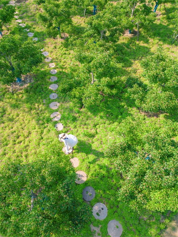 宿城：怦然心动，遇见初夏