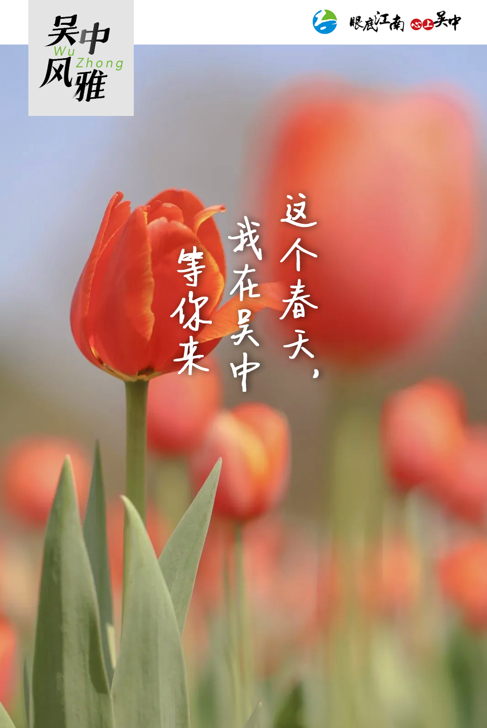 春暖花开，等你来！