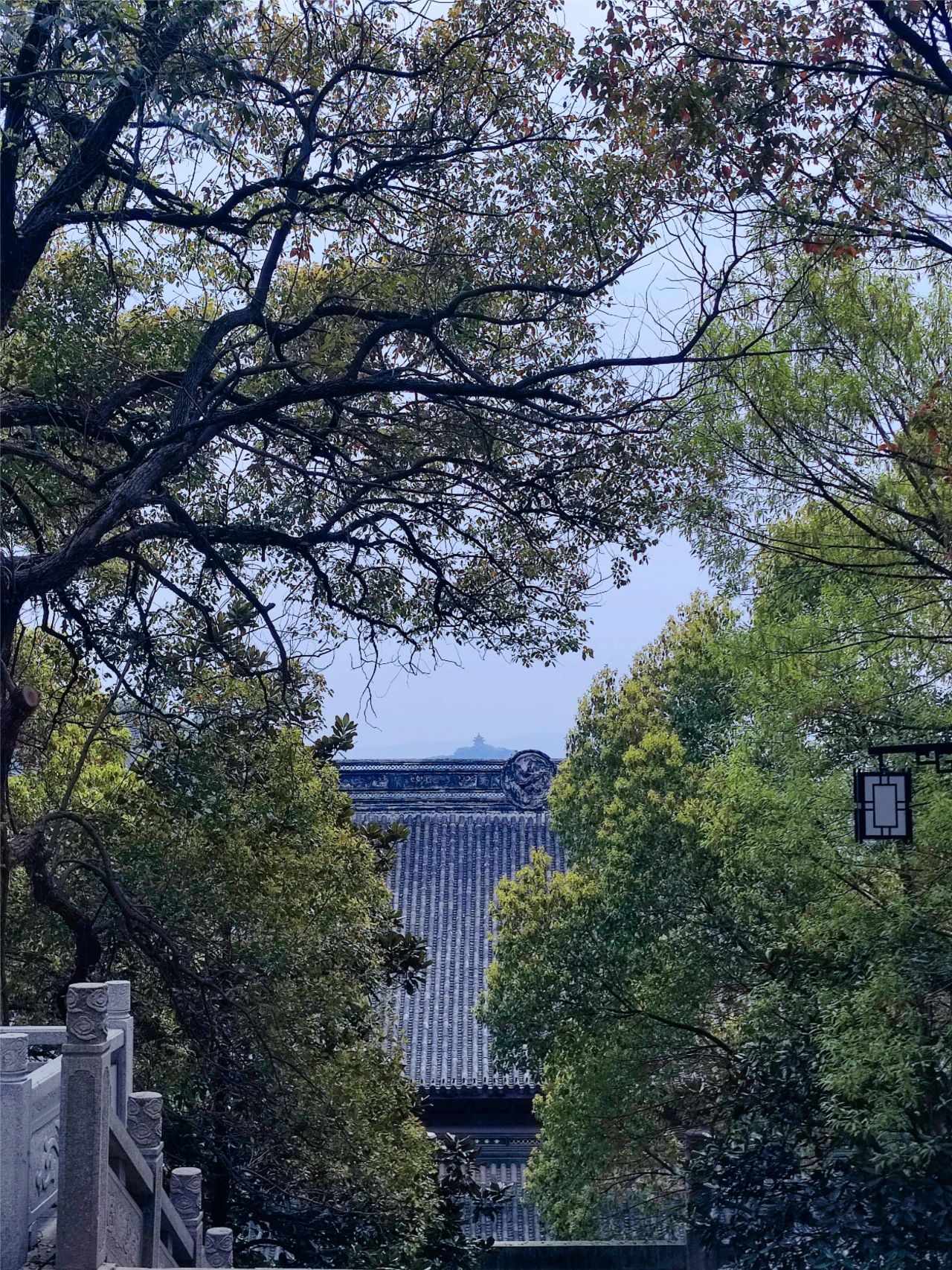 来一场包山禅寺春日行吧！