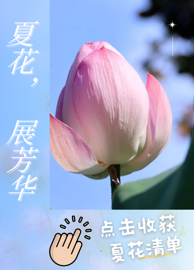 来吴中，花式过夏天！