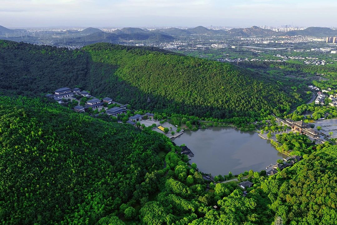 这些夏日『森系秘境』，清凉又出片！