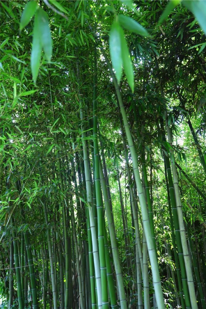 夏日色彩图鉴丨总有一种颜色让你爱上西山岛~