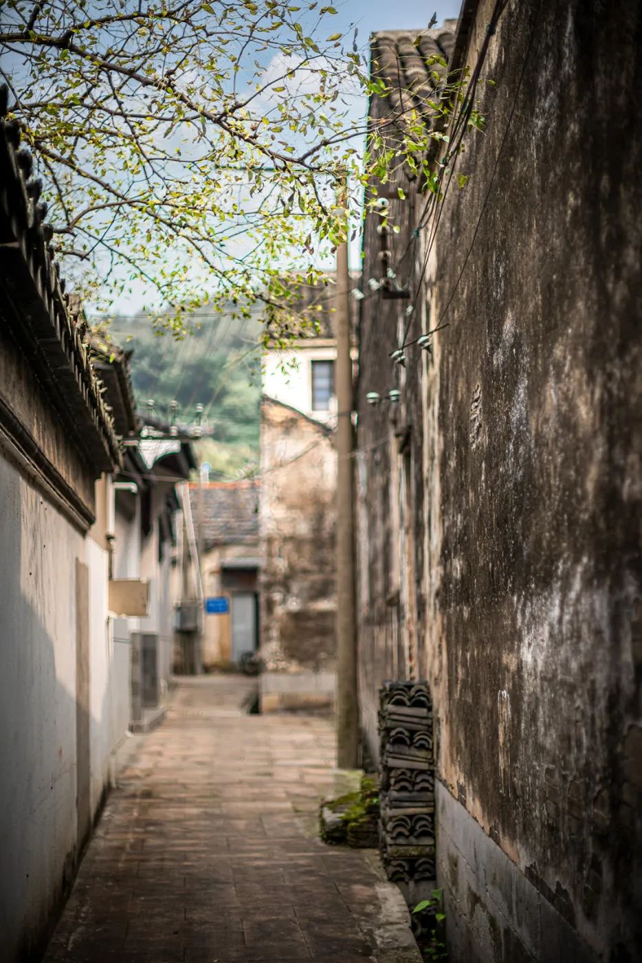 悠悠慢时光，古村韵味长