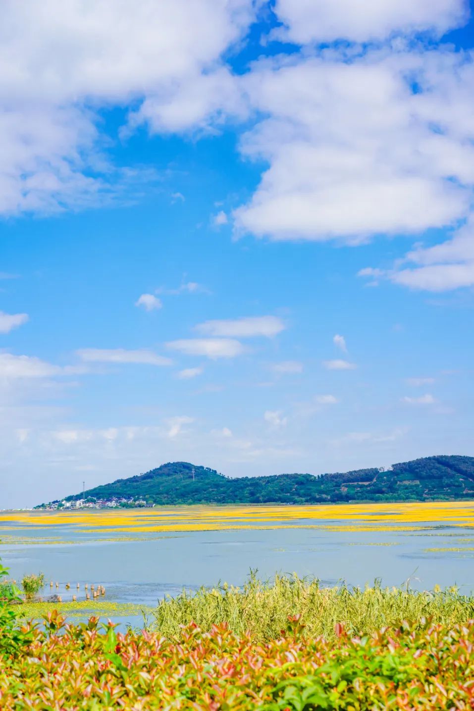 一起来解锁西山岛秋景关键词