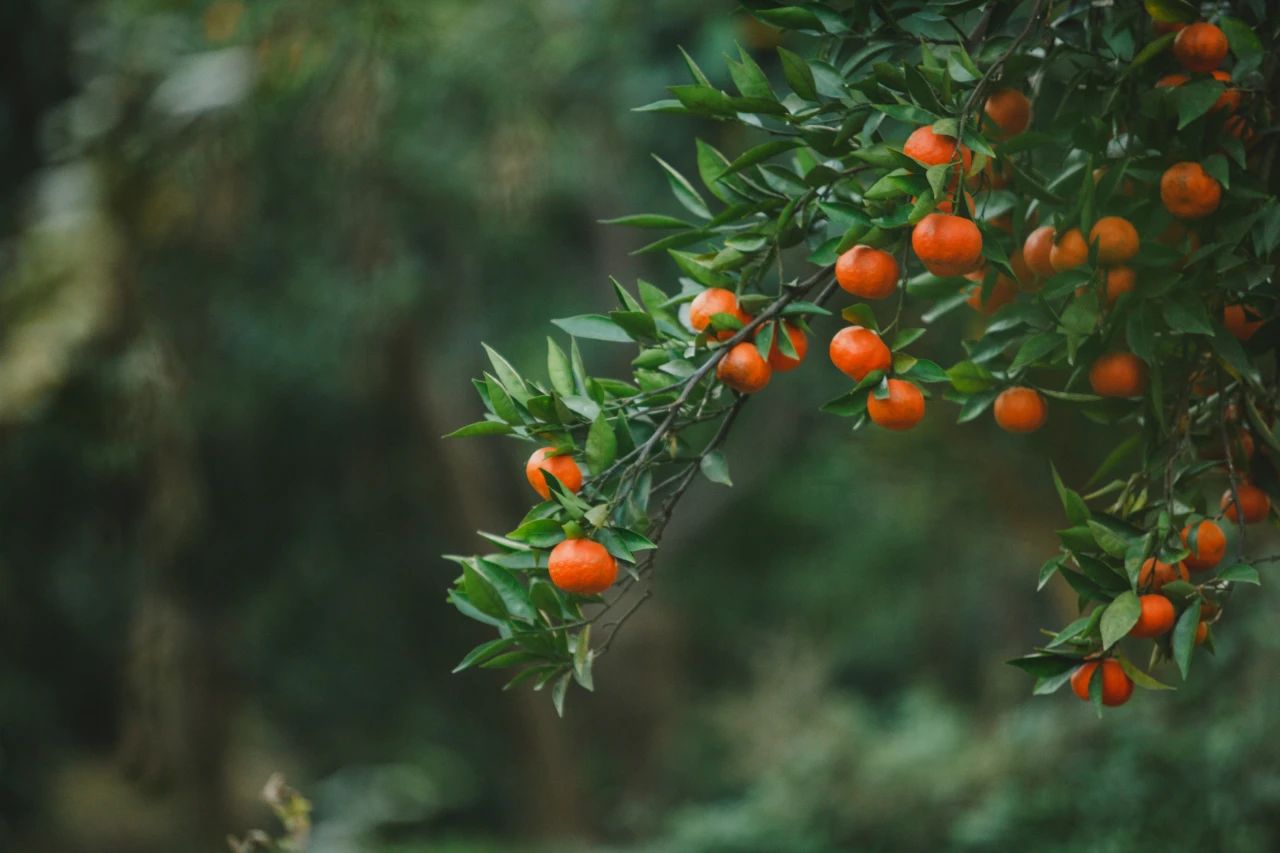 “累点”低，那就上岛玩！