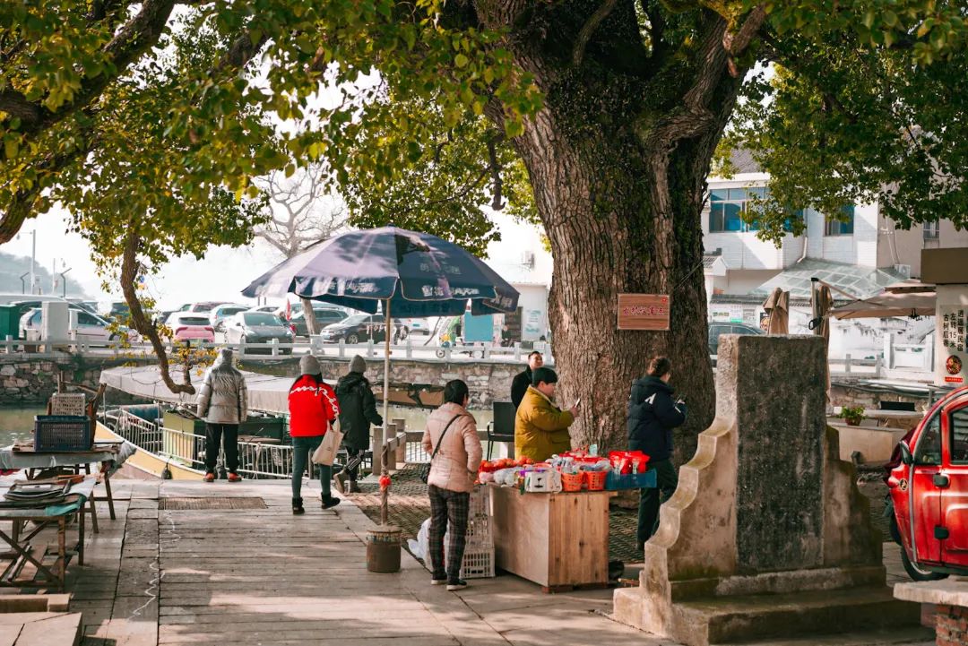 来阴山岛，开启冬日里的浪漫之旅～