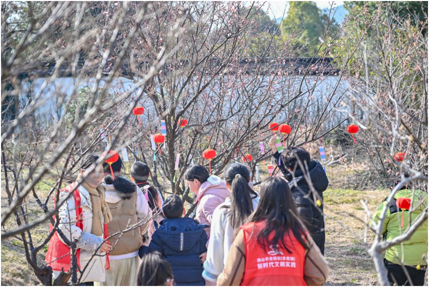 岛沐书香，“梅”美与共——金庭镇全民阅读活动在林屋梅海展开