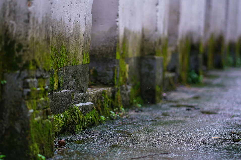 去西山岛赴一场春雨之约~