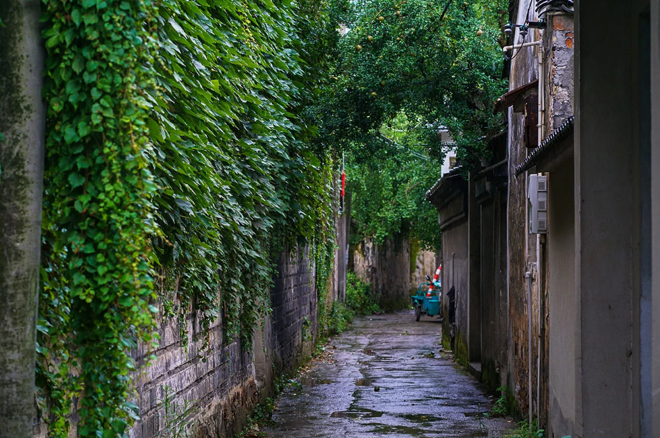 来西山岛听听春雨吧~