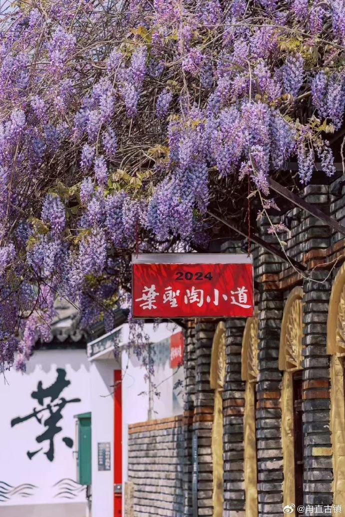 漫步叶圣陶小道，邂逅“一代师表”的旧日时光