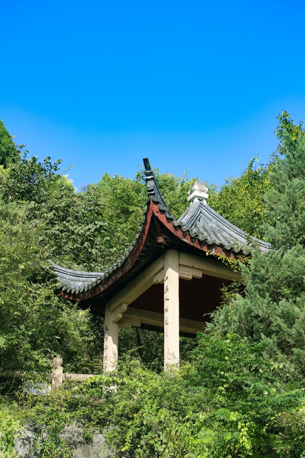 “春日律动”，快来接住满屏绿意！