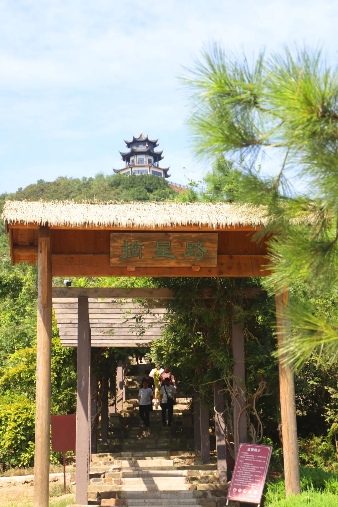 环岛骑行追风，一起释放春日多巴胺！