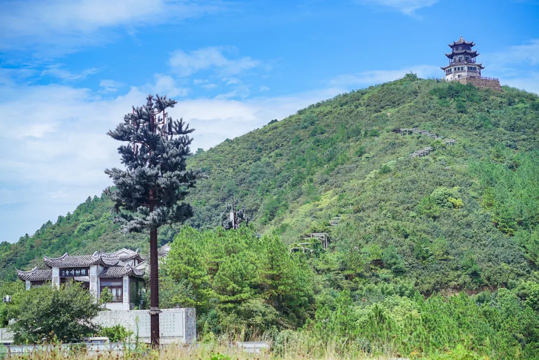 环岛骑行追风，一起释放春日多巴胺！