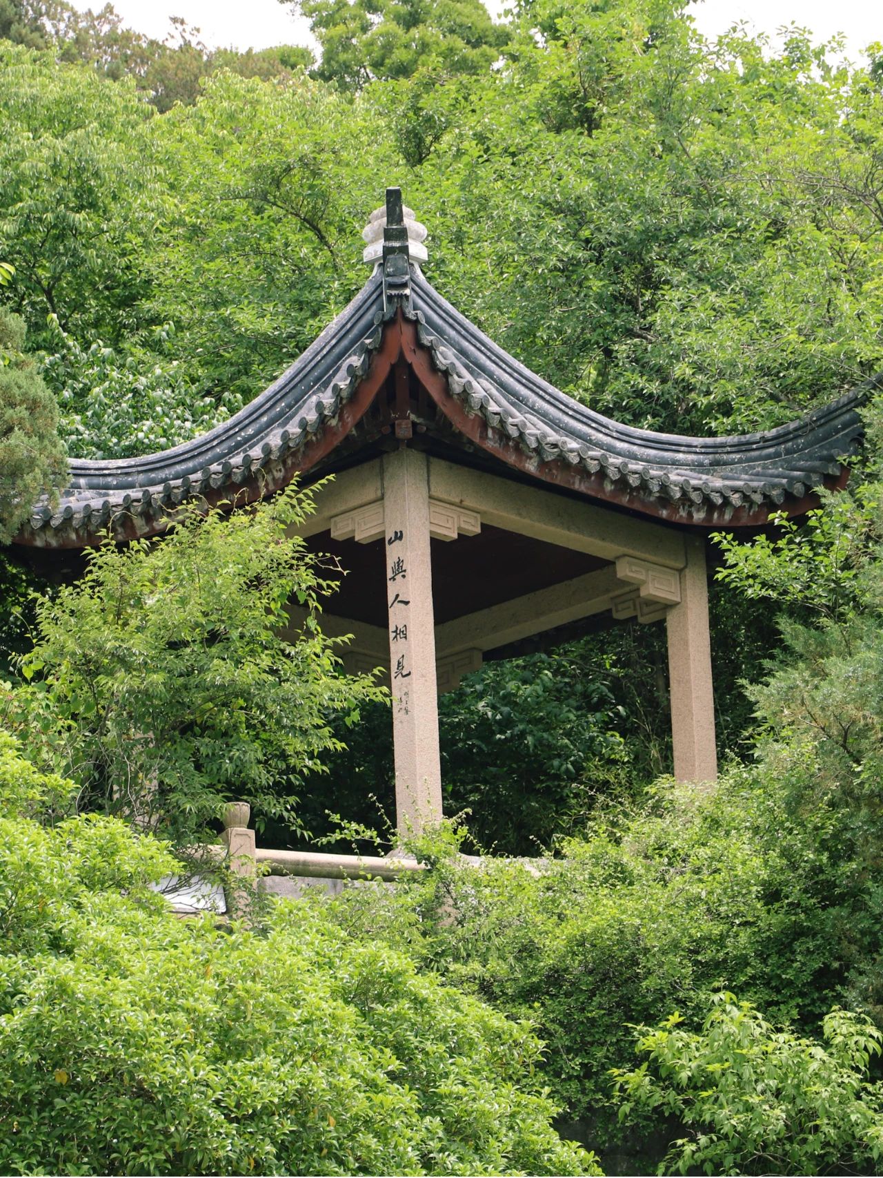 西山岛的夏天，被“绿绿绿绿”承包了！