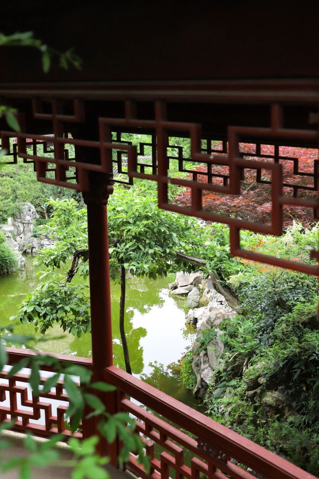 西山岛的夏天，被“绿绿绿绿”承包了！