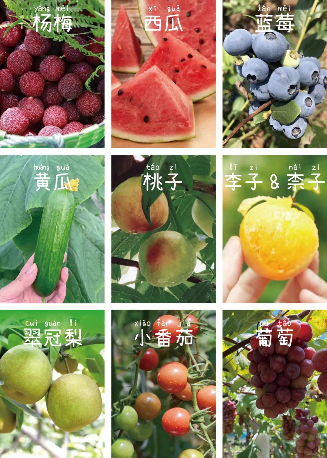太湖的瓜，甜过热搜