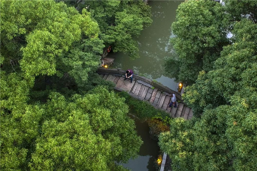 雨巷寻幽，青石板上千年韵
