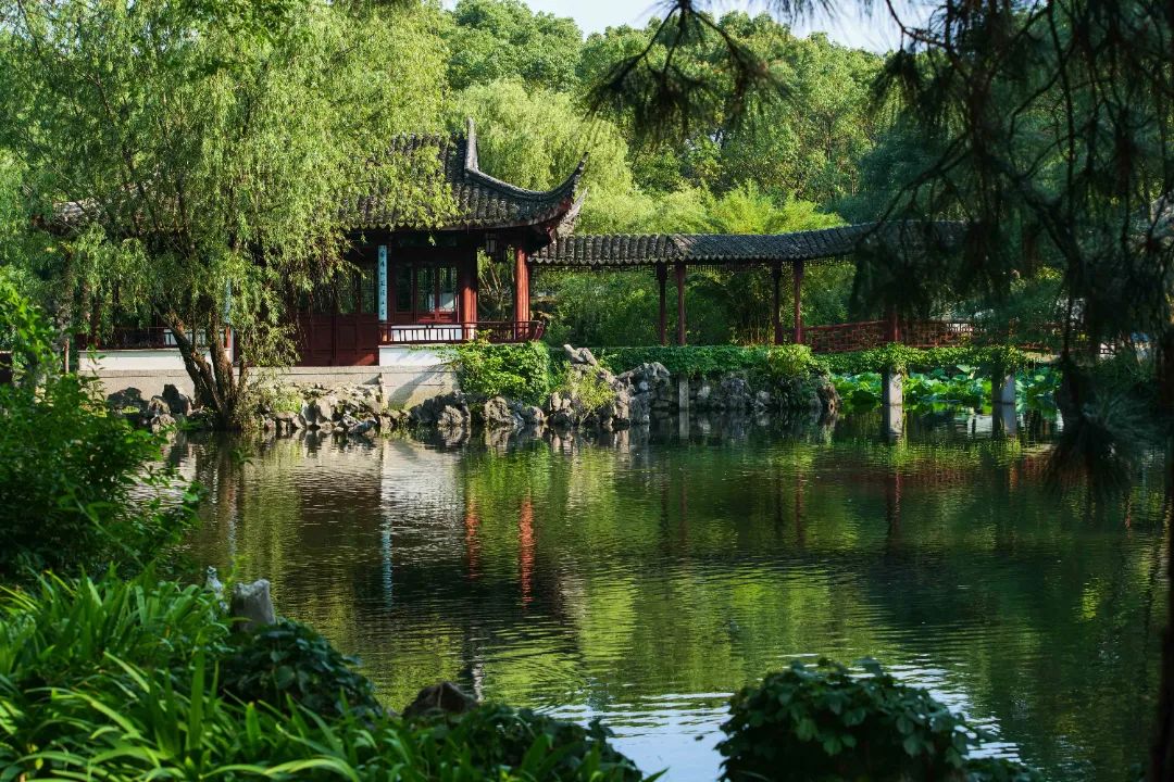 清凉计划开启！解锁25℃的治愈夏天！