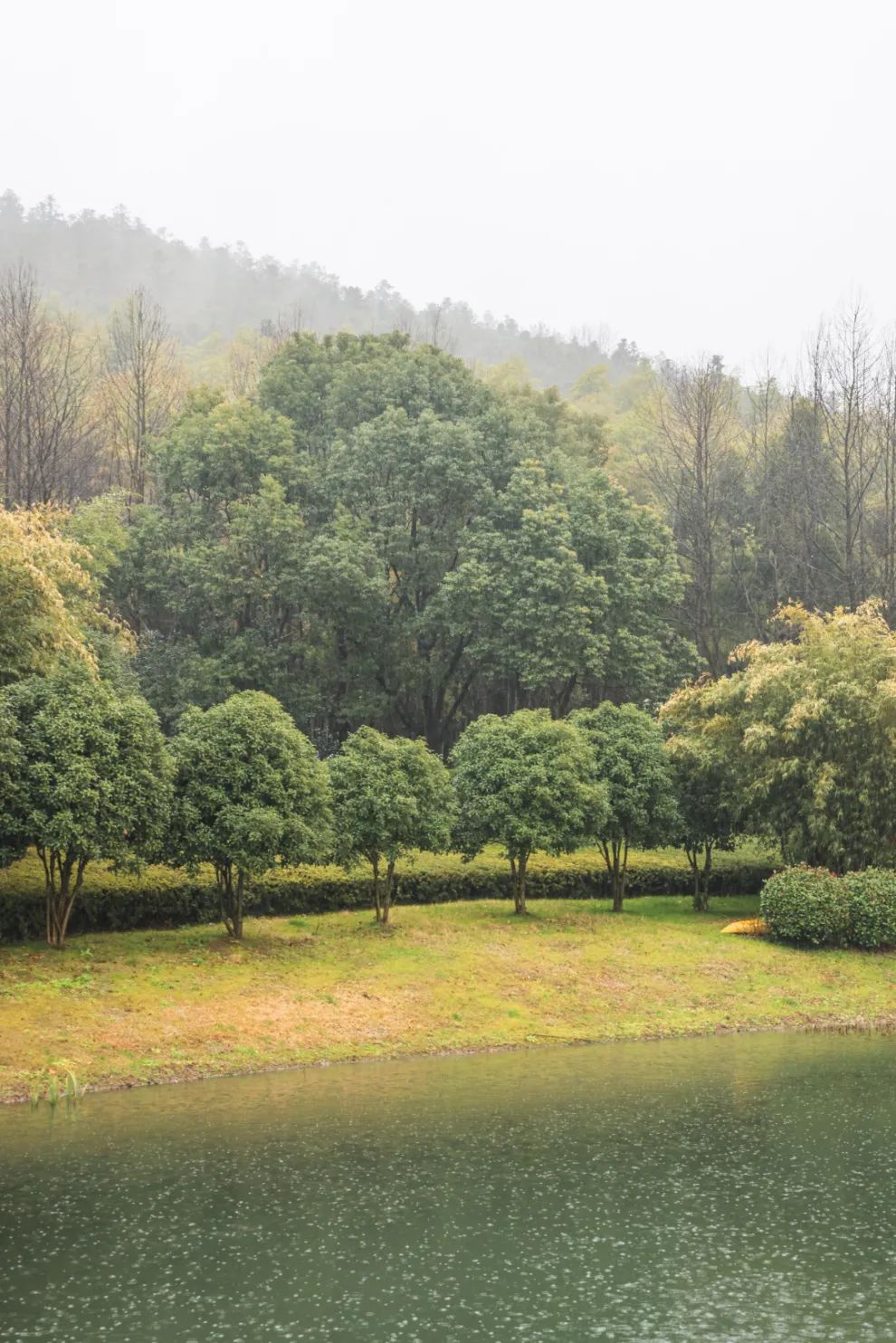 茶咖烟雨，一隅闲适听江南