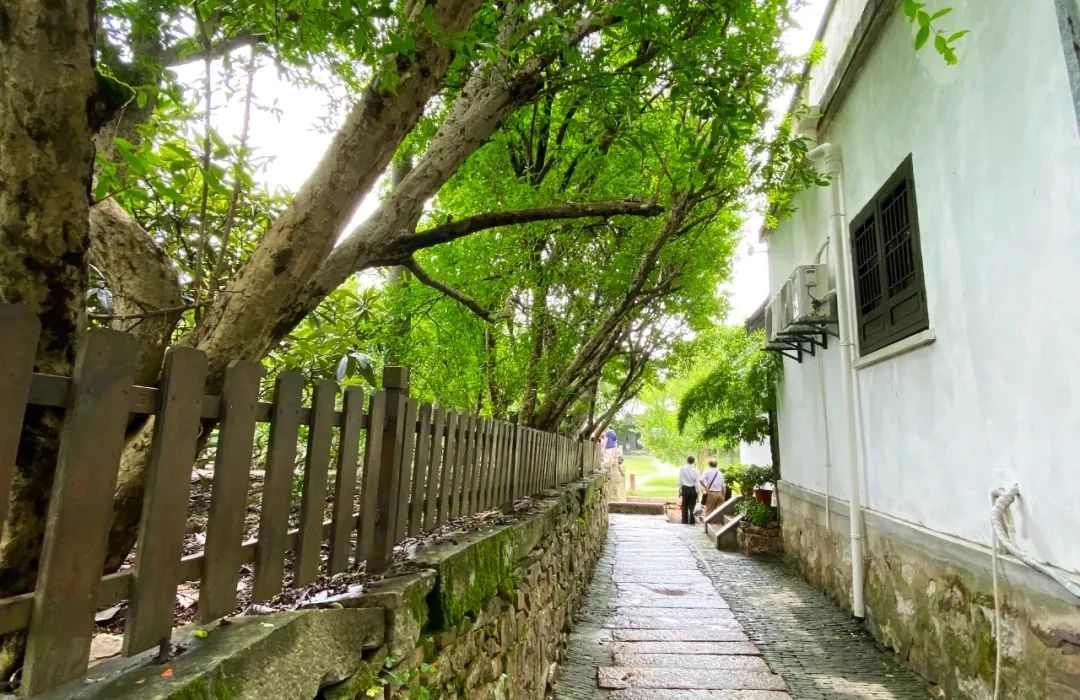 梅雨季的西山岛，细雨如诗~