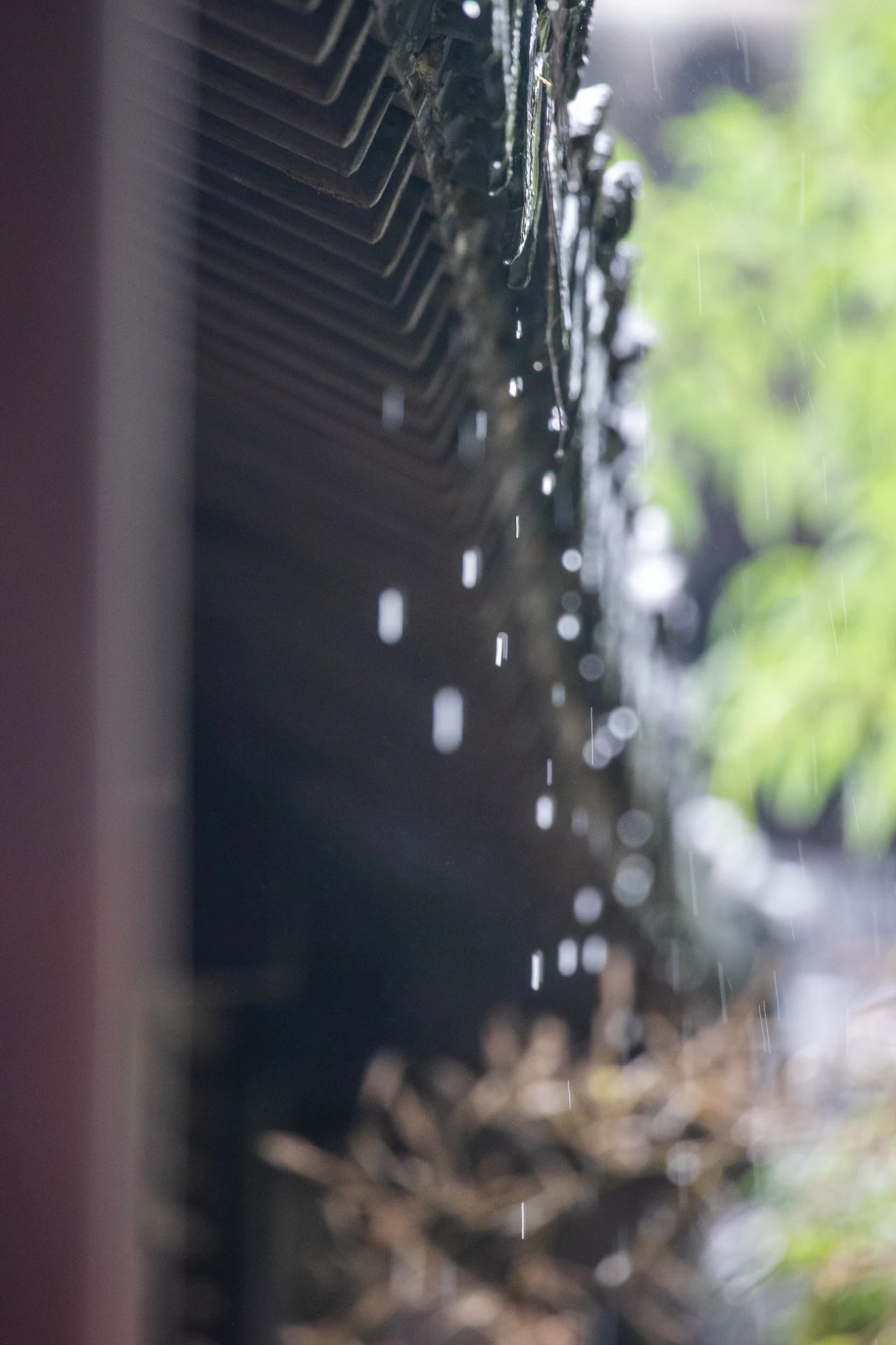 听听光福的雨事