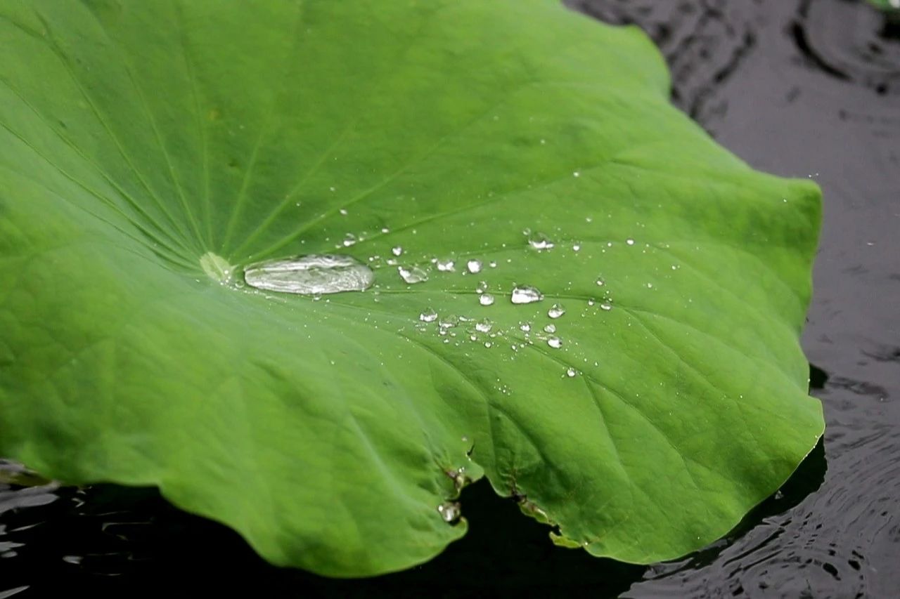 听听光福的雨事