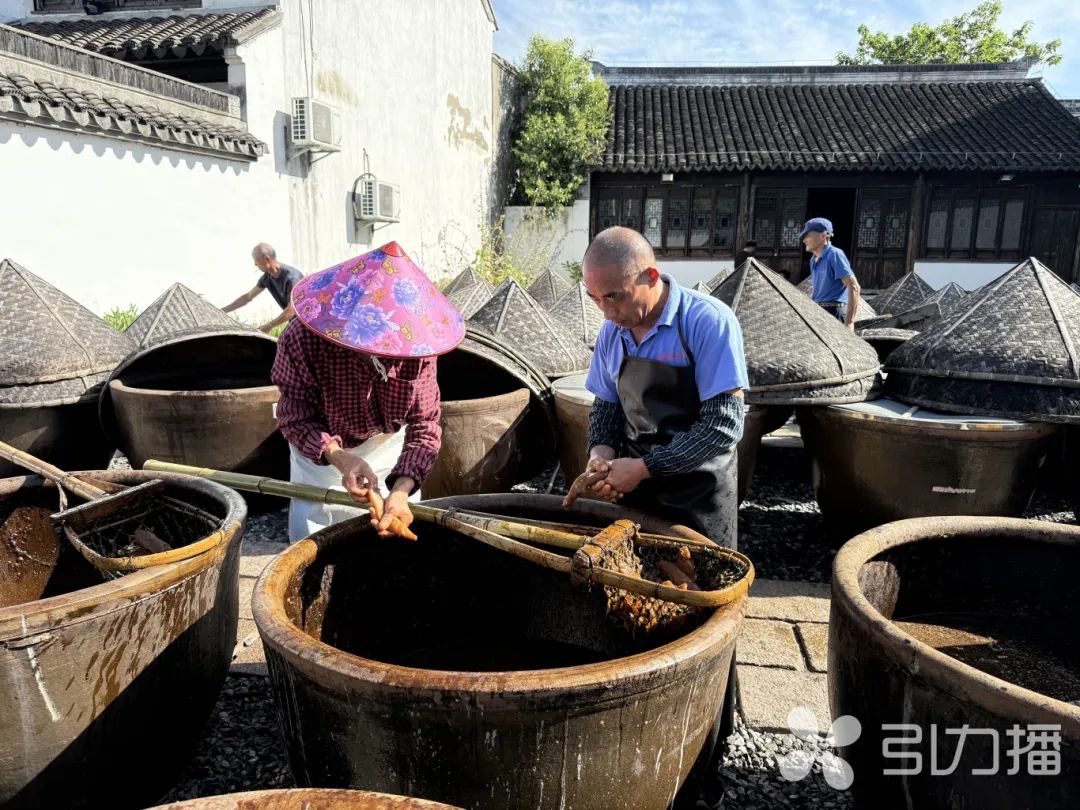 甪直萝卜起缸，夏日美味已Get√