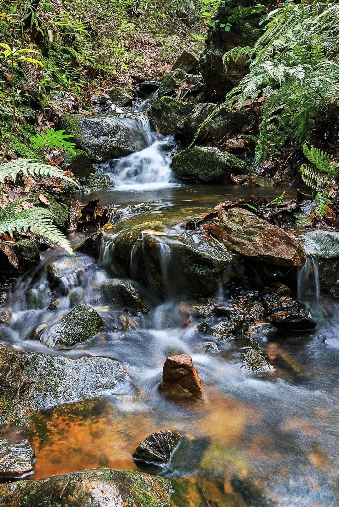 山野寻凉，解锁自然避暑密码！