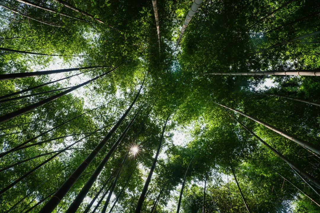 热热热！来吴中寻一方清凉