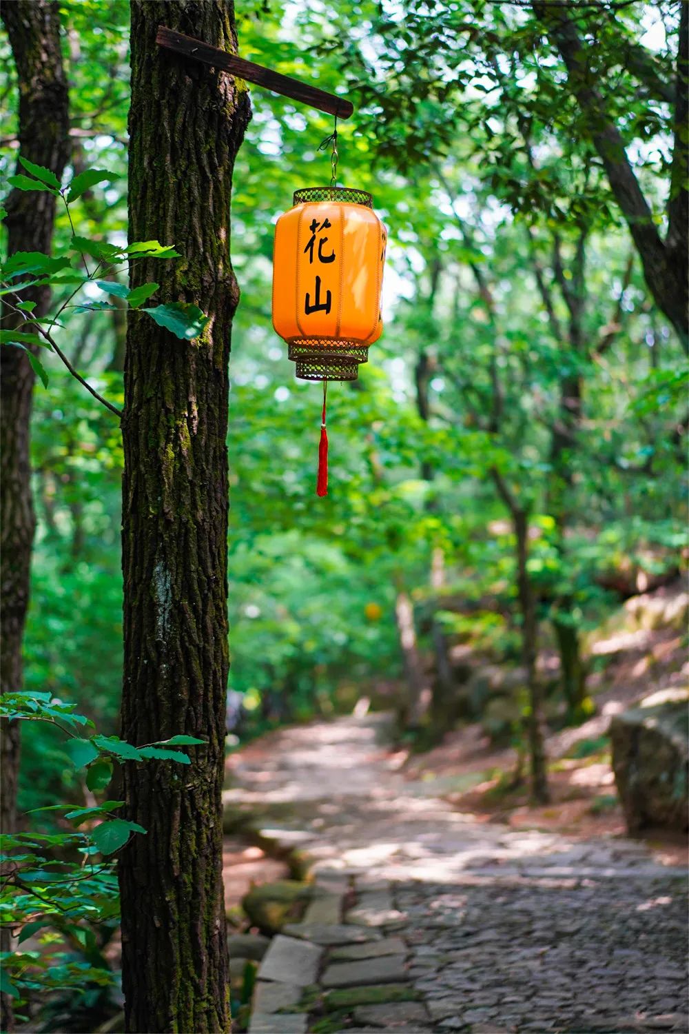 热热热！来吴中寻一方清凉