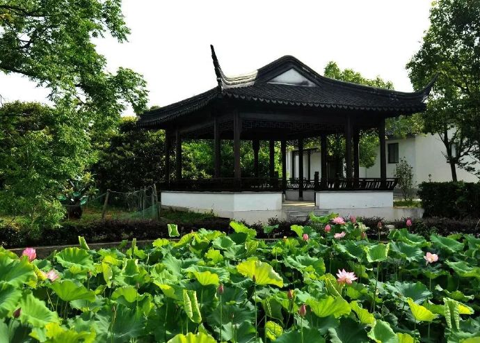 探苏州“小蓬莱”，品东山千年韵