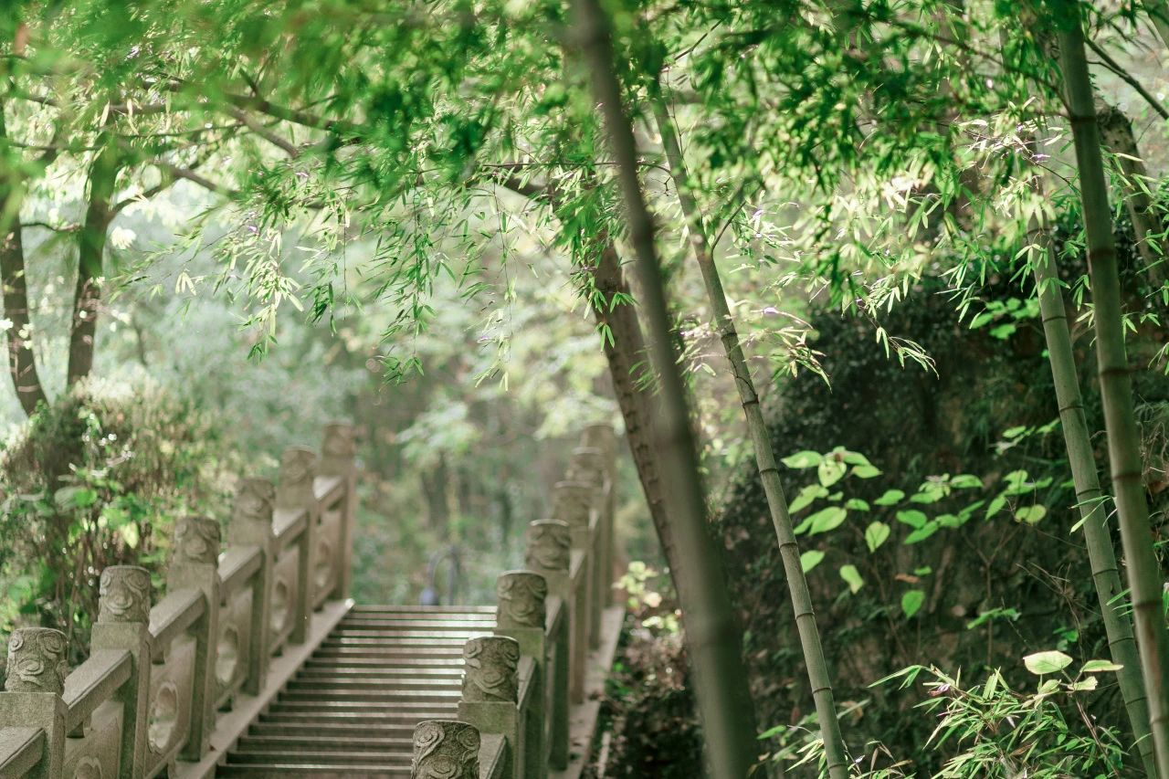 “渎”家避暑旅游路线