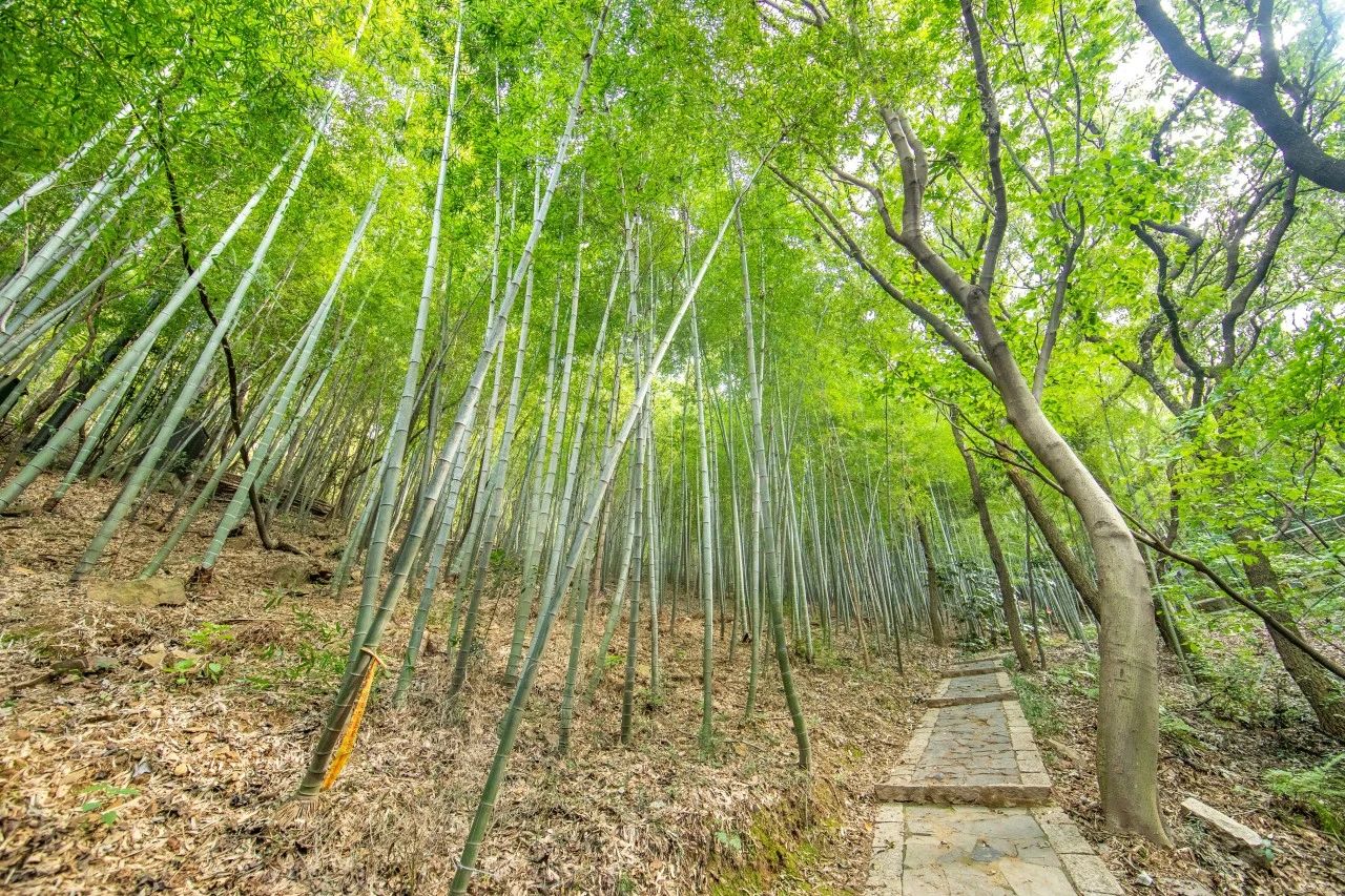 一场藏在山水间的避暑之旅