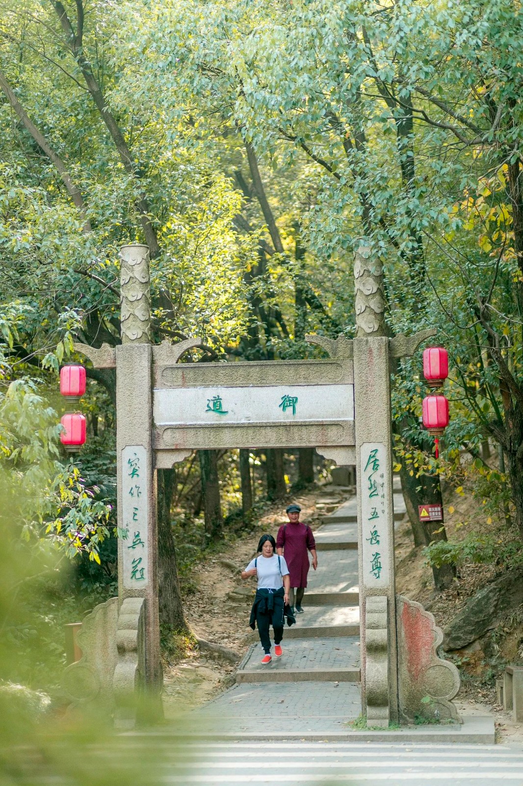 一场藏在山水间的避暑之旅